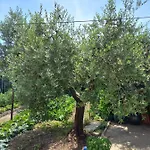 La Casa Dell'olivo Pescia