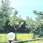 La Casa Dell'olivo *