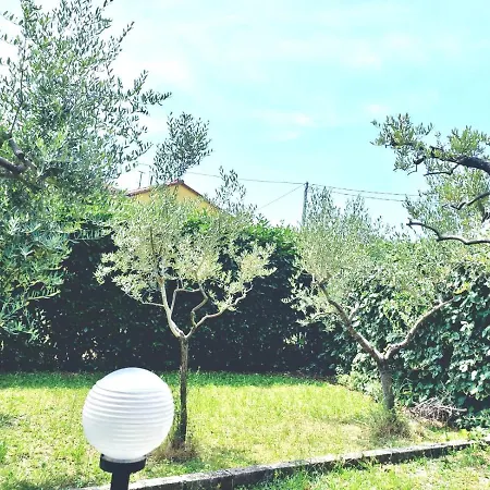 La Casa Dell'olivo *