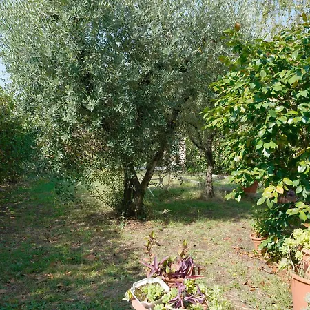 Dom wakacyjny La Casa Dell'olivo