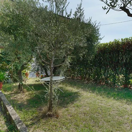 La Casa Dell'olivo Dom wakacyjny *